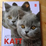 Ja, katten kissar fortfarande inne. Nej, jag vill VERKLIGEN inte prata om det. Jag pratar med Susanne "Kvinnan som talar med katter" Hellman Holmström.