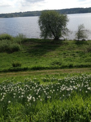 Naturen - doften, solen, vattnet.